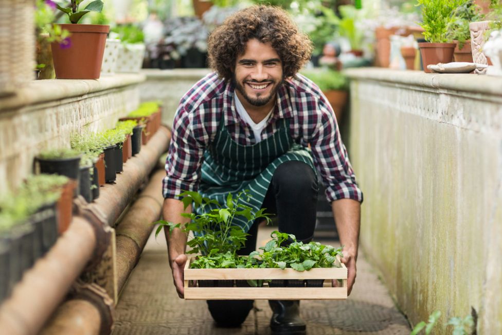 Agriculture et élevage professionnel