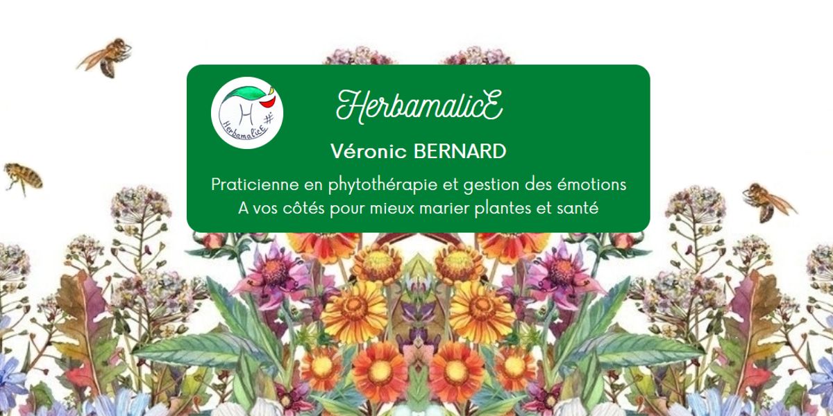 Herbamalice - Site internet Beauté / Bien-être et Santé Louhans