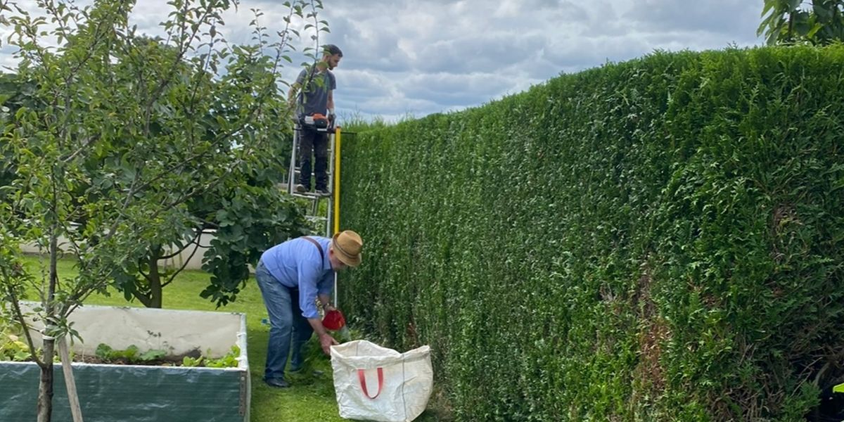 Id élagage - Site internet Bâtiment / Artisan Louhans