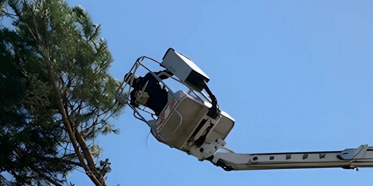 Ja Artisan - Site internet Bâtiment / Artisan Louhans