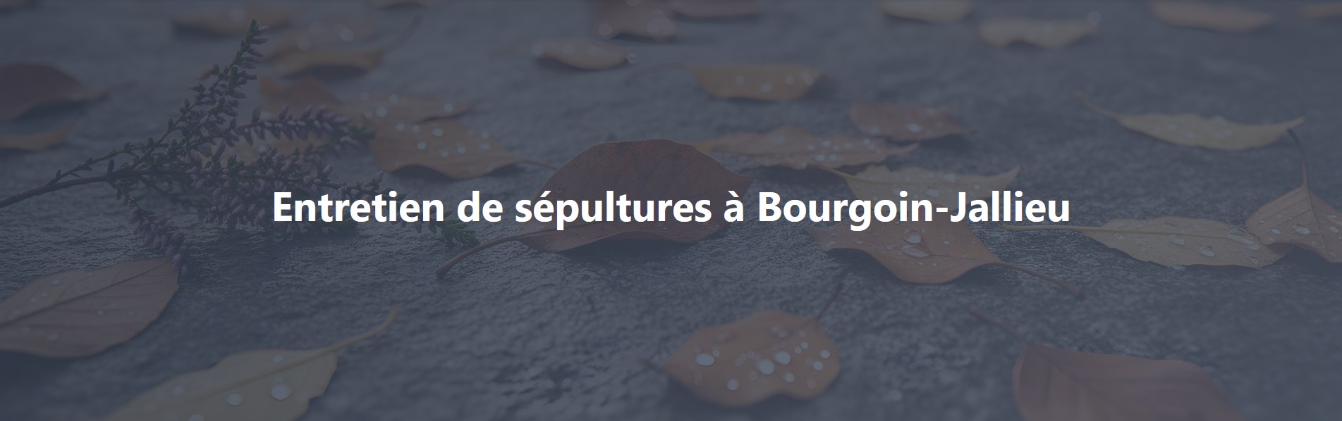 Les veilleurs du souvenir - Site internet Services Louhans