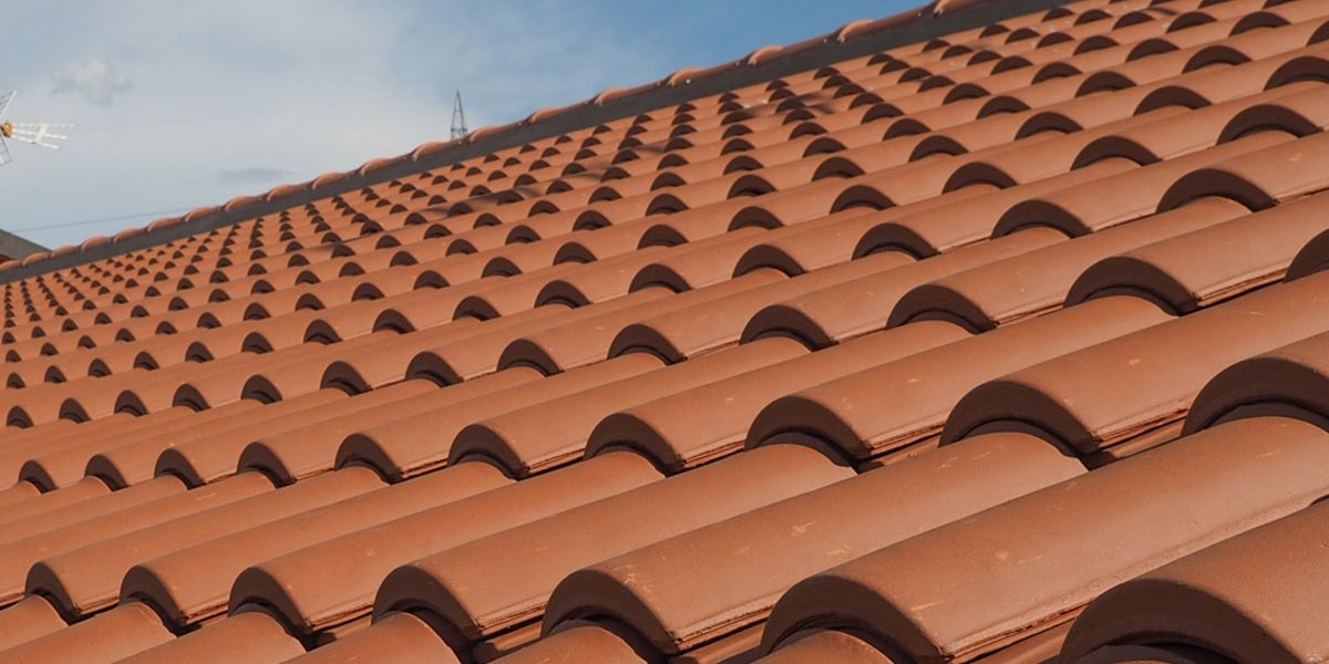 Mp renovation demoussage toiture - Site internet Bâtiment / Artisan Louhans